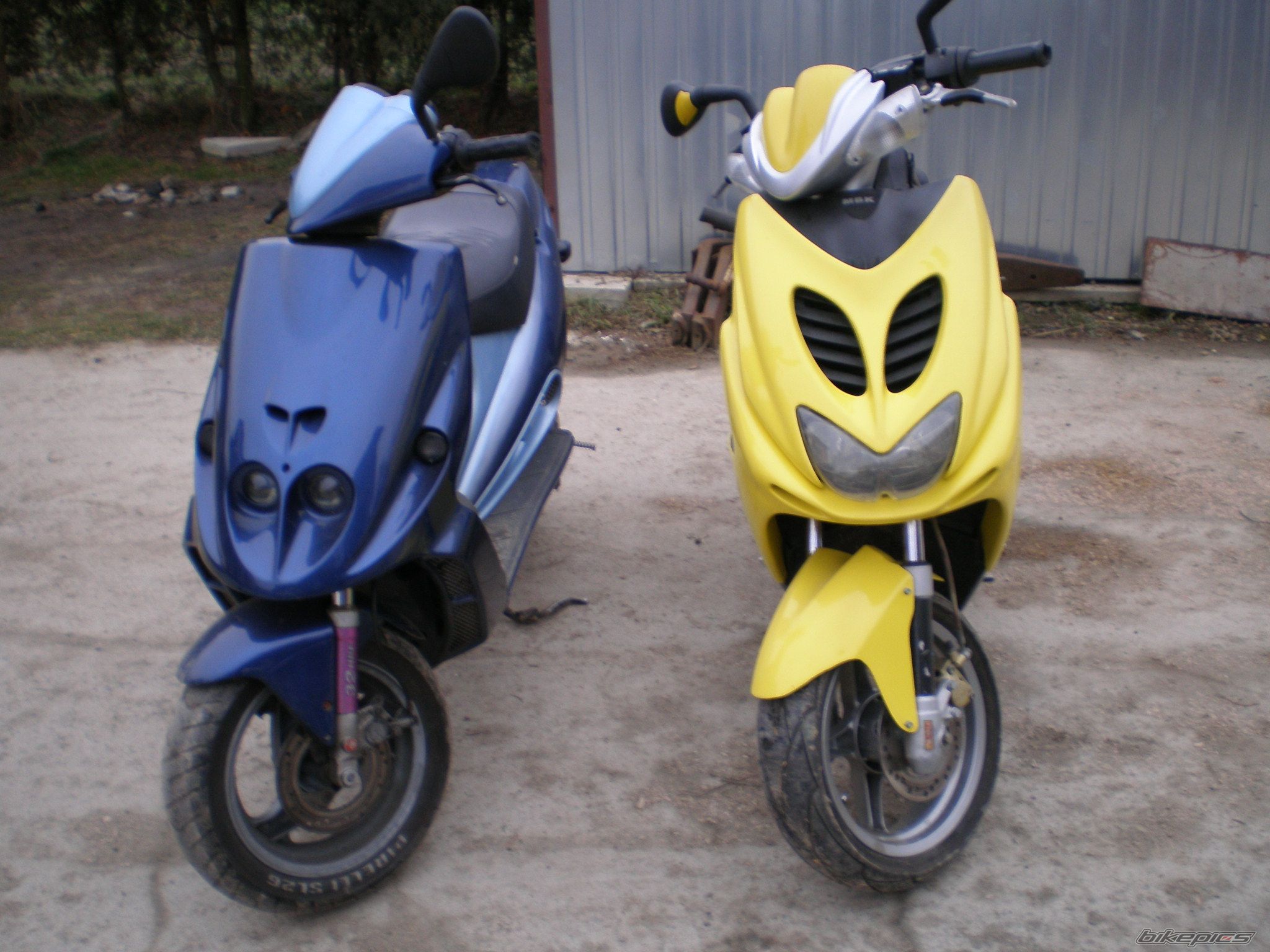 1996 MALAGUTI F 12 50 | Picture 816754 motorcycle photo