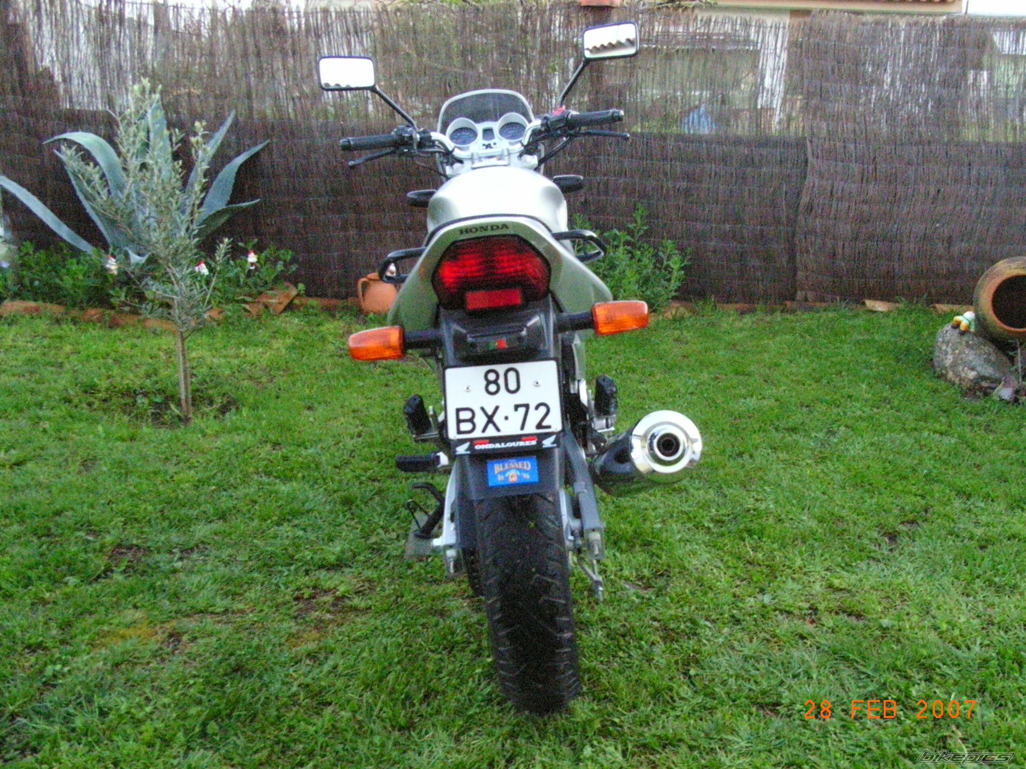 2006 HONDA CBF 250 | Picture 816899 motorcycle photo