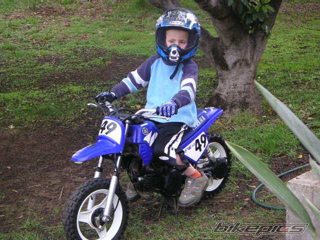 2004 YAMAHA PW 50 | Picture 817014 motorcycle photo