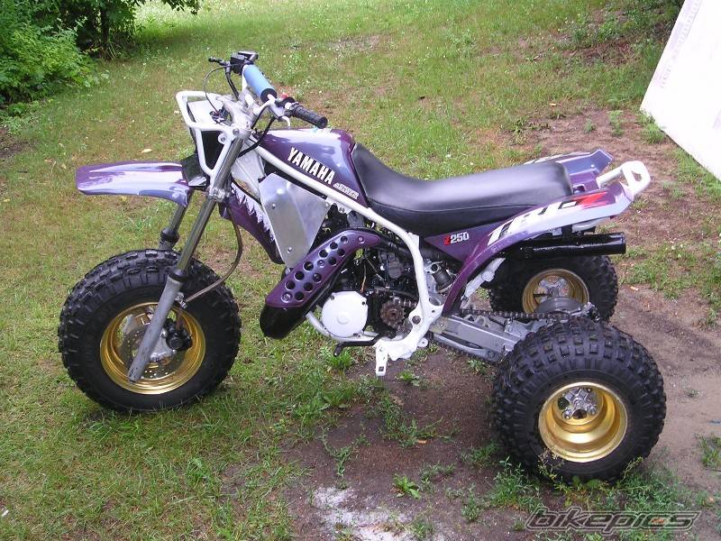 1986 YAMAHA TRI Z 250 | Picture 81767 motorcycle photo