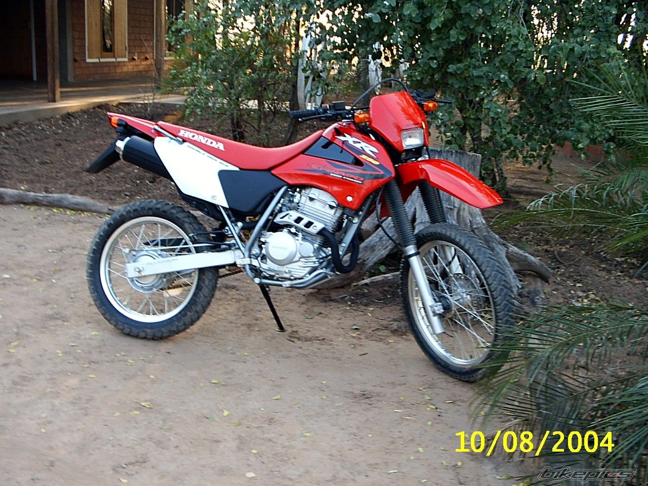 2004 HONDA XR 250 | Picture 817725 motorcycle photo