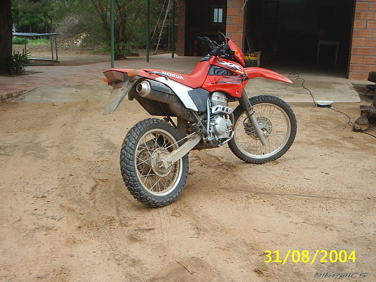 2004 HONDA XR 250 | Picture 817729 motorcycle photo