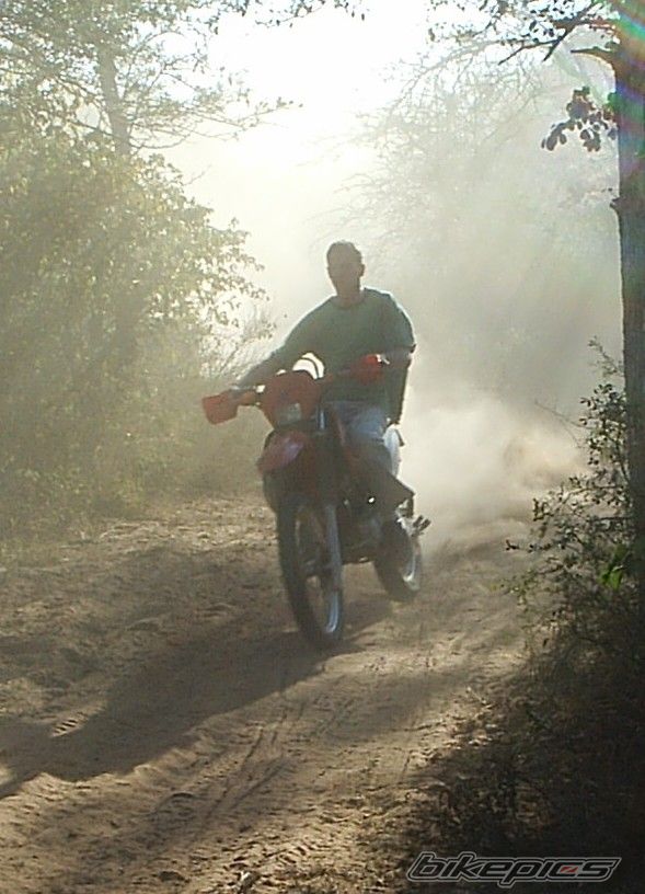 2004 HONDA XR 250 | Picture 817732 motorcycle photo