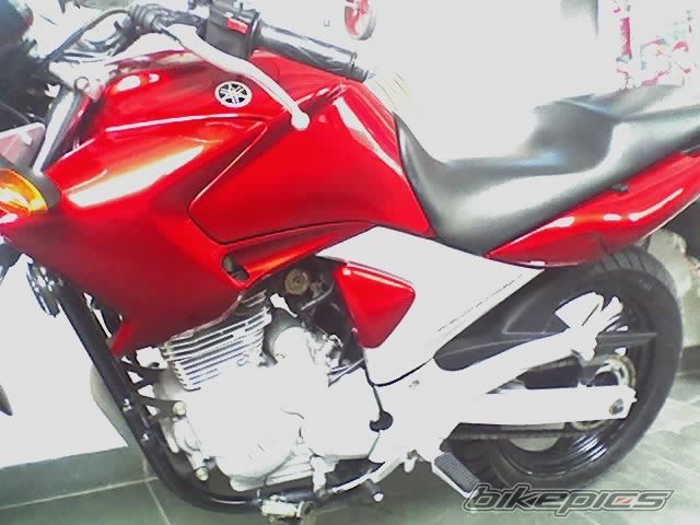 2006 YAMAHA YS 250 FAZER | Picture 818914 motorcycle photo