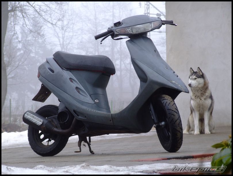 2005 HONDA DIO AF 28 | Picture 819231 motorcycle photo