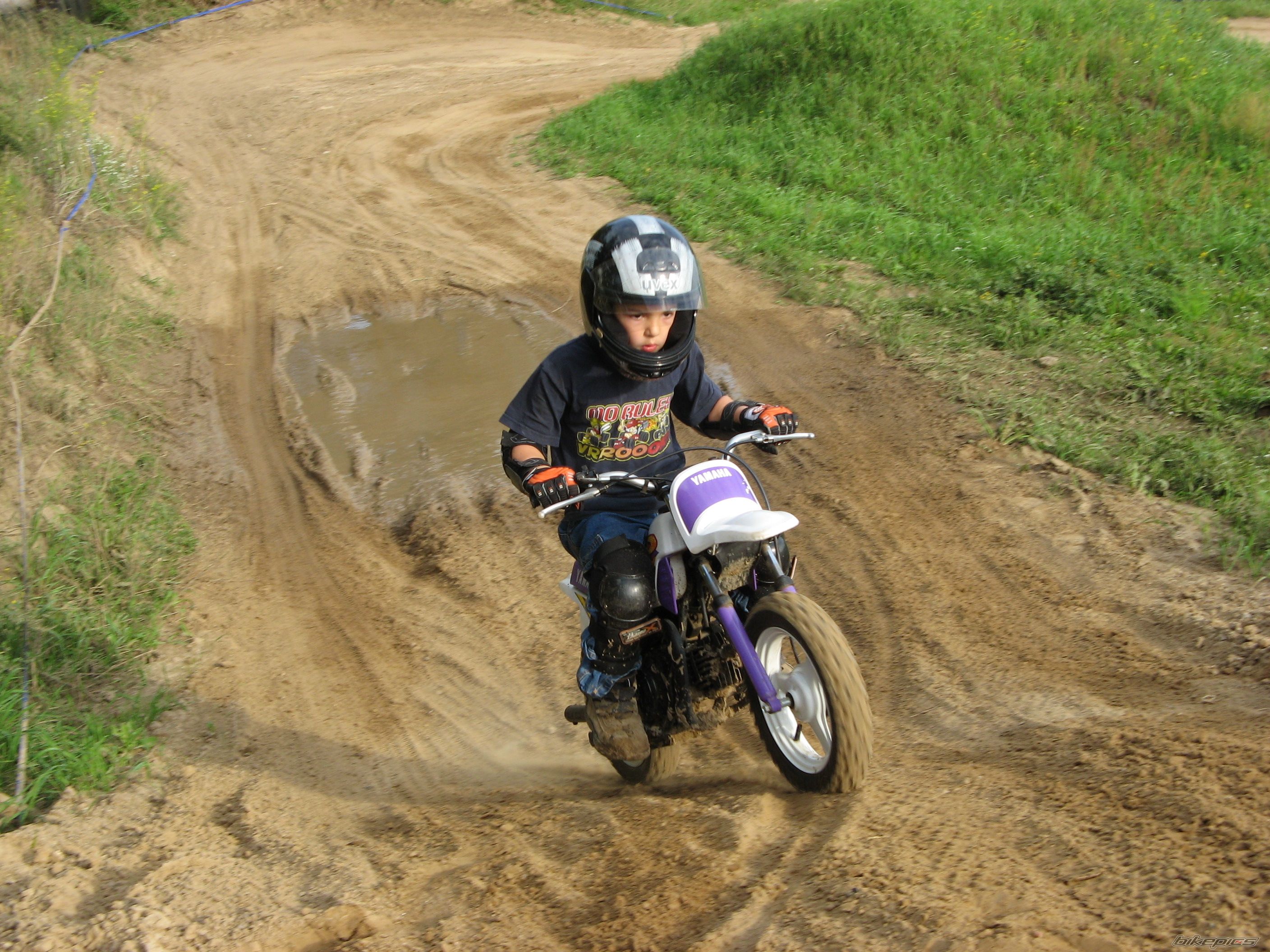 2000 YAMAHA PW 50 | Picture 819313 motorcycle photo