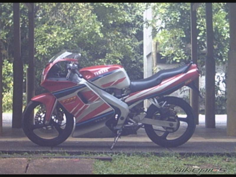 1997 YAMAHA TZM 150 | Picture 81947 motorcycle photo