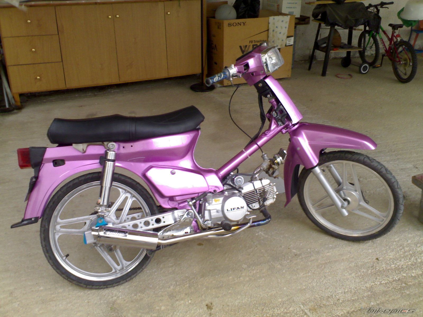 2007 HONDA GLX 50 | Picture 819499 motorcycle photo
