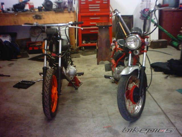 1981 YAMAHA SR 250 | Picture 820141 motorcycle photo