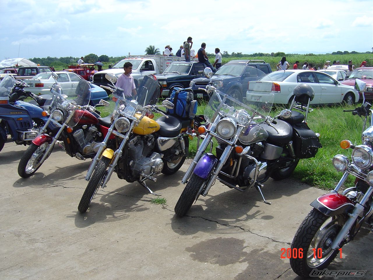 2005 HARLEY DAVIDSON XL 883C | Picture 820239 motorcycle photo