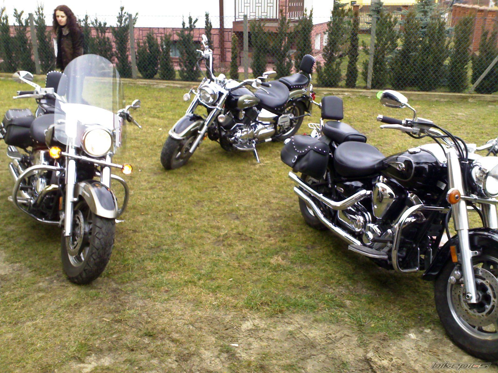 2005 YAMAHA XVS1100A DRAGSTAR CLASSIC | Picture 820332 motorcycle photo