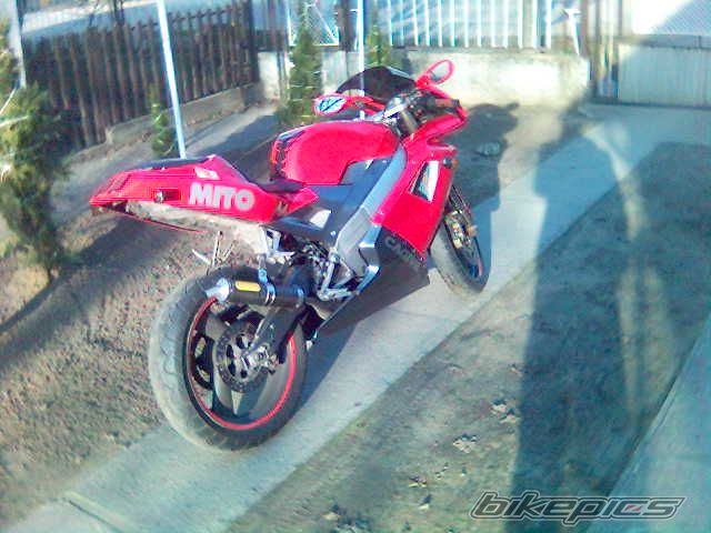 1995 CAGIVA MITO 125 | Picture 821648 motorcycle photo
