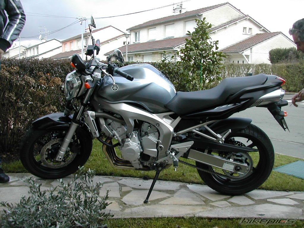 2006 YAMAHA FZ6 FAZER | Picture 821807 motorcycle photo