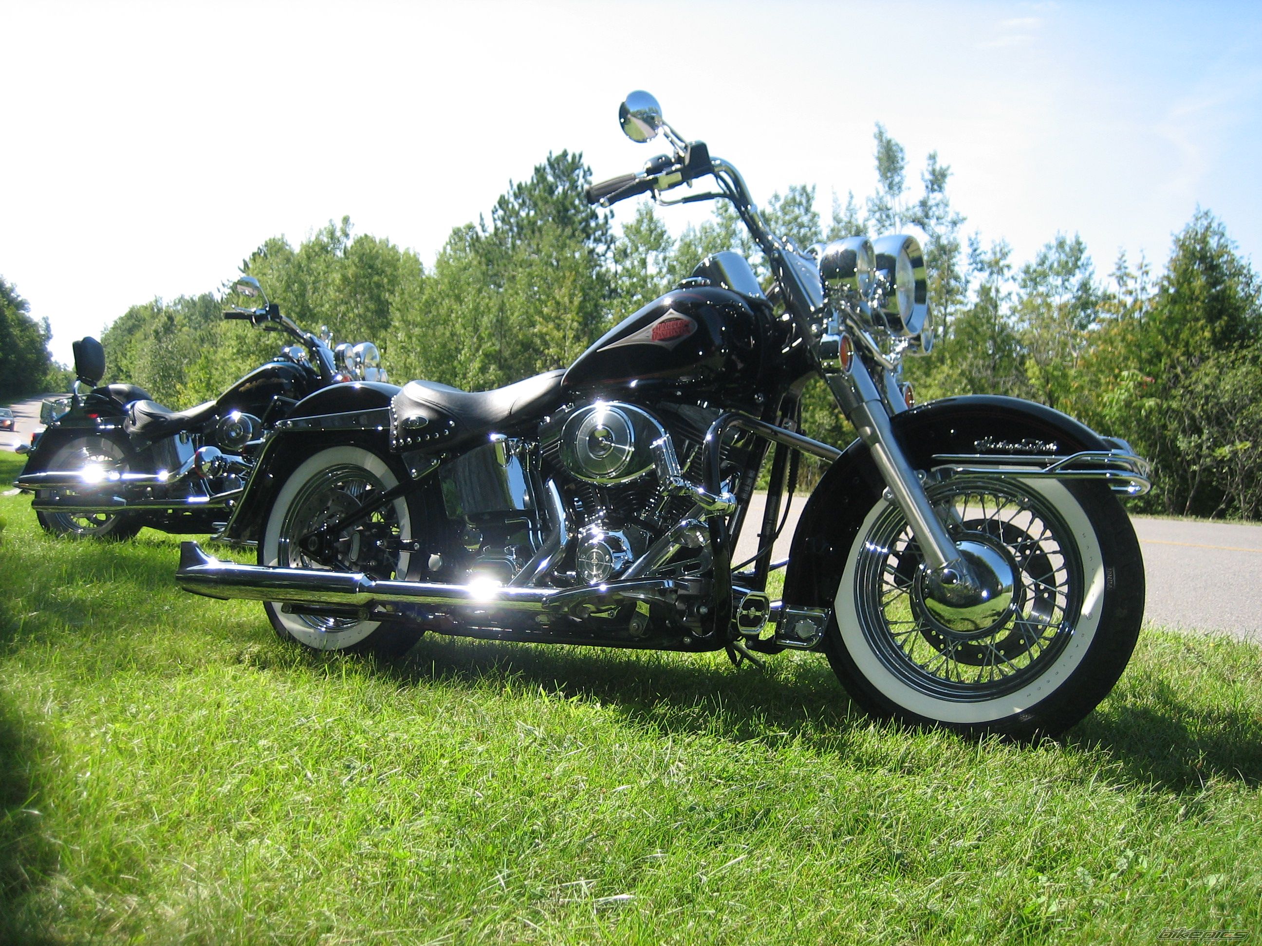 2001 HARLEY DAVIDSON FLSTC | Picture 822058 motorcycle photo