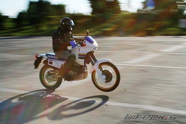 1991 HONDA NX 650 DOMINATOR | Picture 822471 motorcycle photo