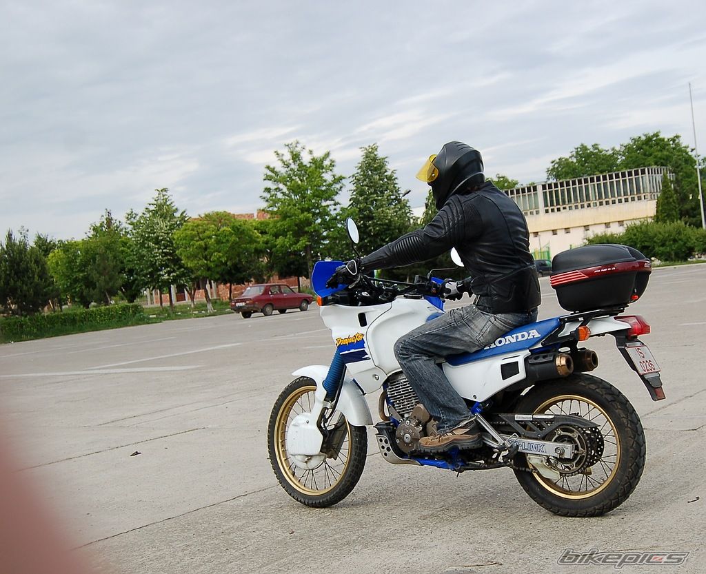 1991 HONDA NX 650 DOMINATOR | Picture 822483 motorcycle photo