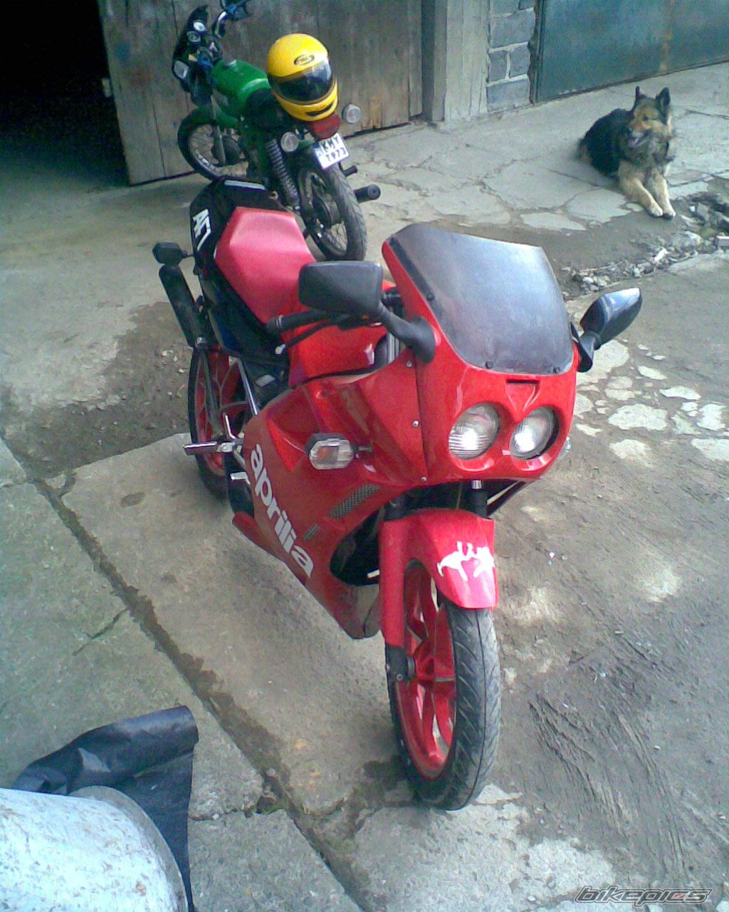 1989 APRILIA AF1 FUTURA 50 | Picture 822706 motorcycle photo