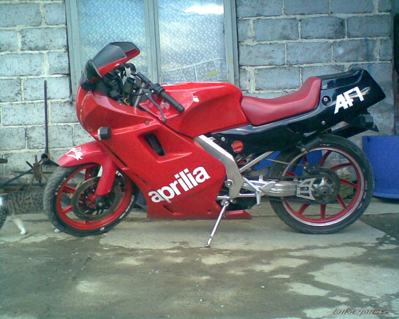 1989 APRILIA AF1 FUTURA 50 | Picture 822709 motorcycle photo