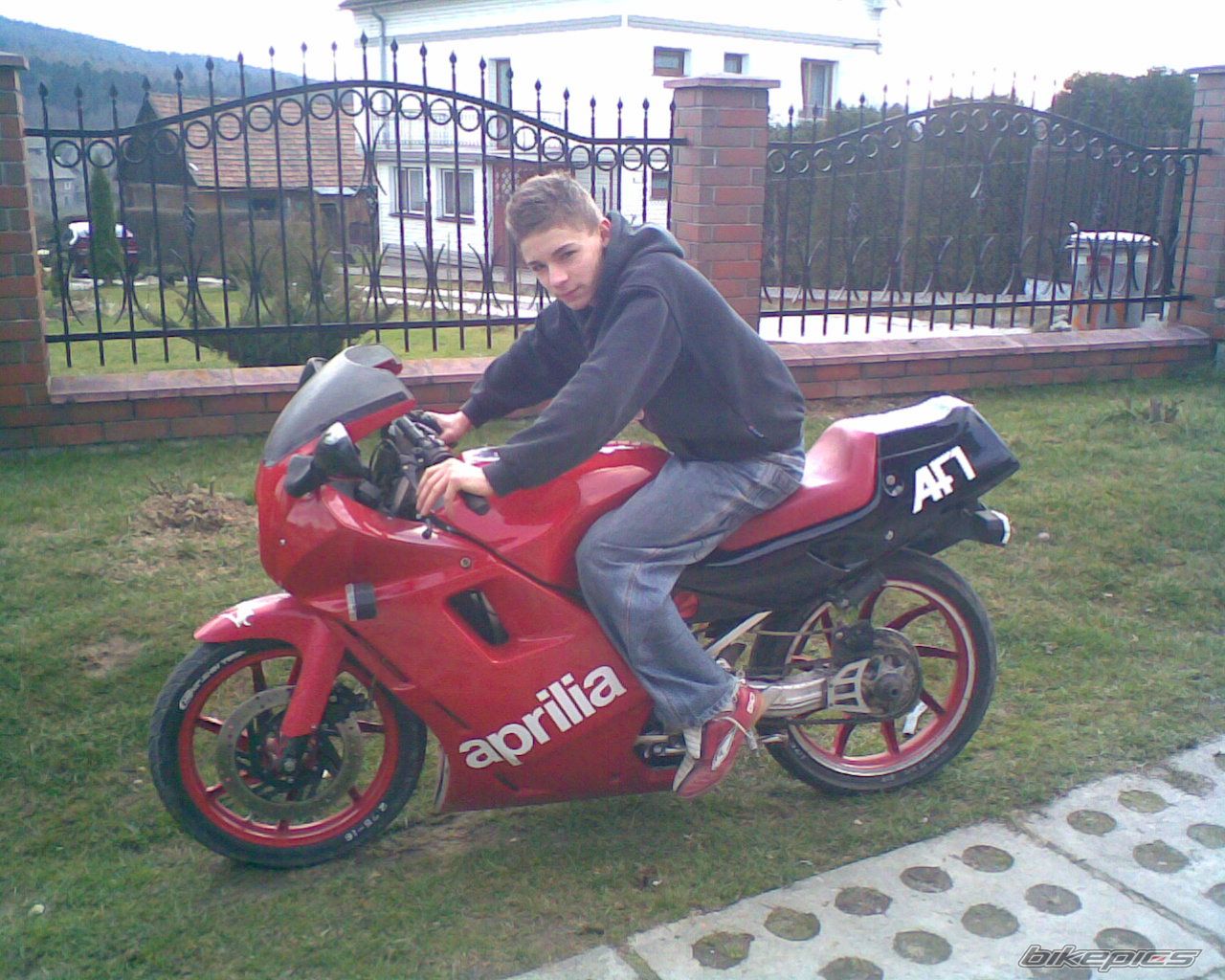 1989 APRILIA AF1 FUTURA 50 | Picture 822714 motorcycle photo