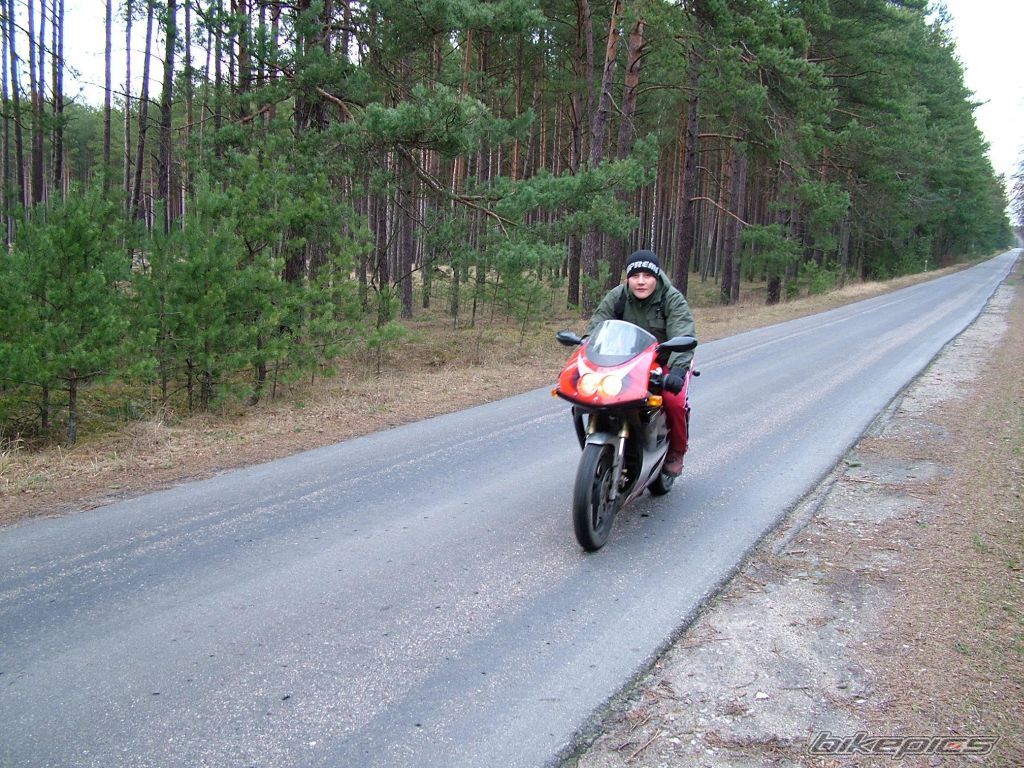 1996 APRILIA RX 50 | Picture 822794 motorcycle photo