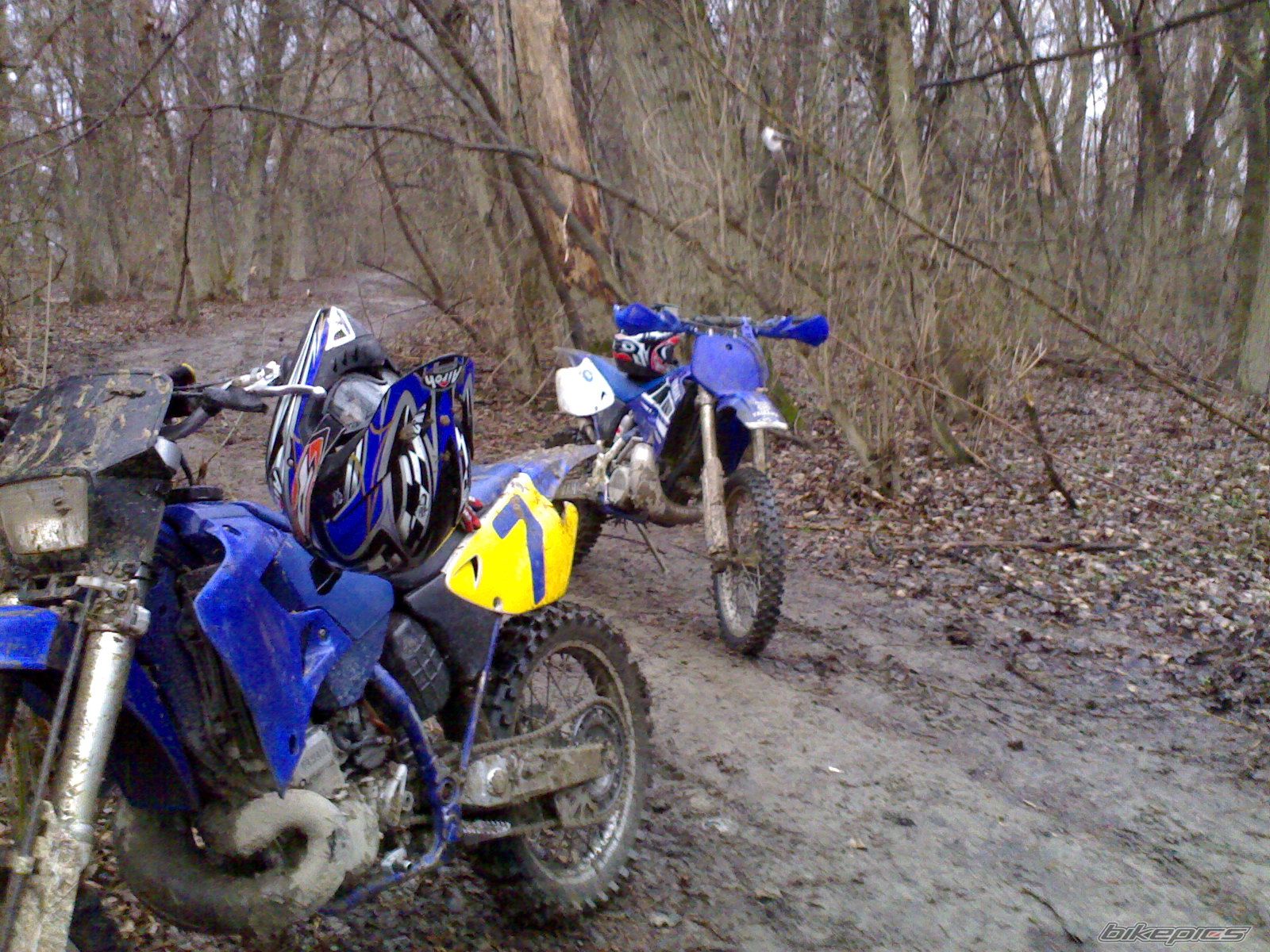 1998 YAMAHA WR 250 | Picture 822977 motorcycle photo