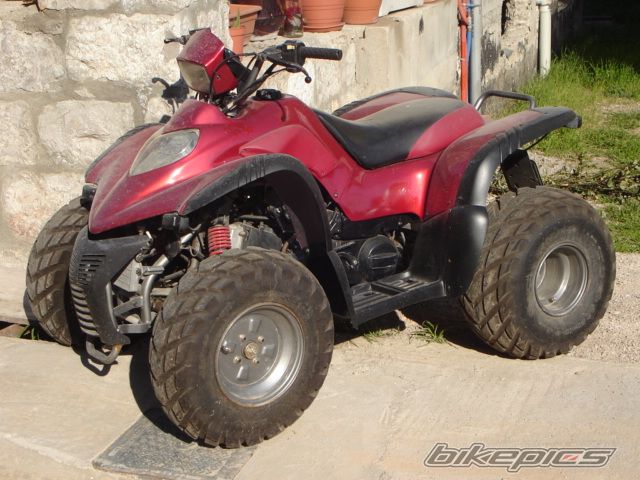 2007 APRILIA QUASAR 50 | Picture 824146 motorcycle photo