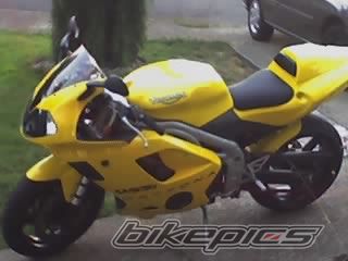 2002 TRIUMPH DAYTONA 955I | Picture 824643 motorcycle photo