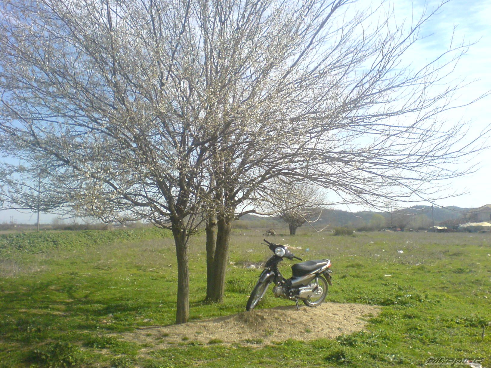 2007 HONDA C 50 | Picture 824687 motorcycle photo
