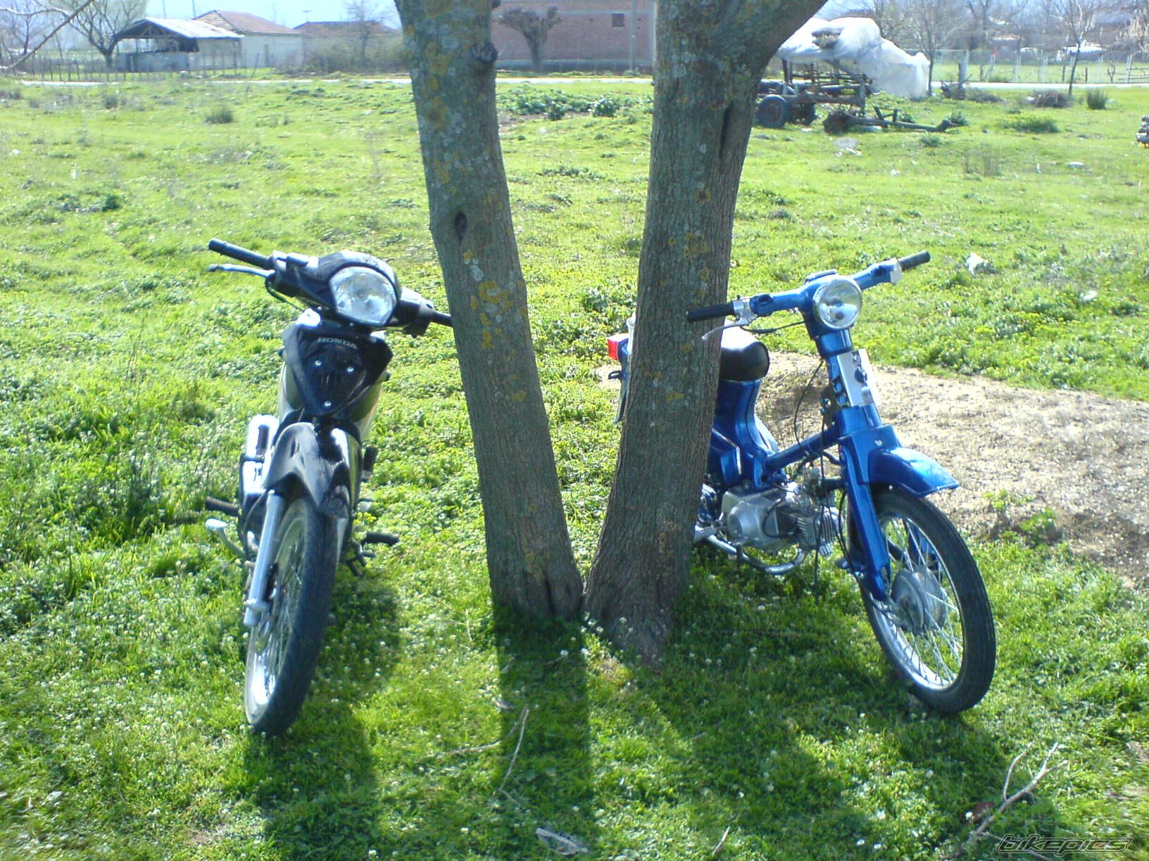 2007 HONDA C 50 | Picture 824692 motorcycle photo