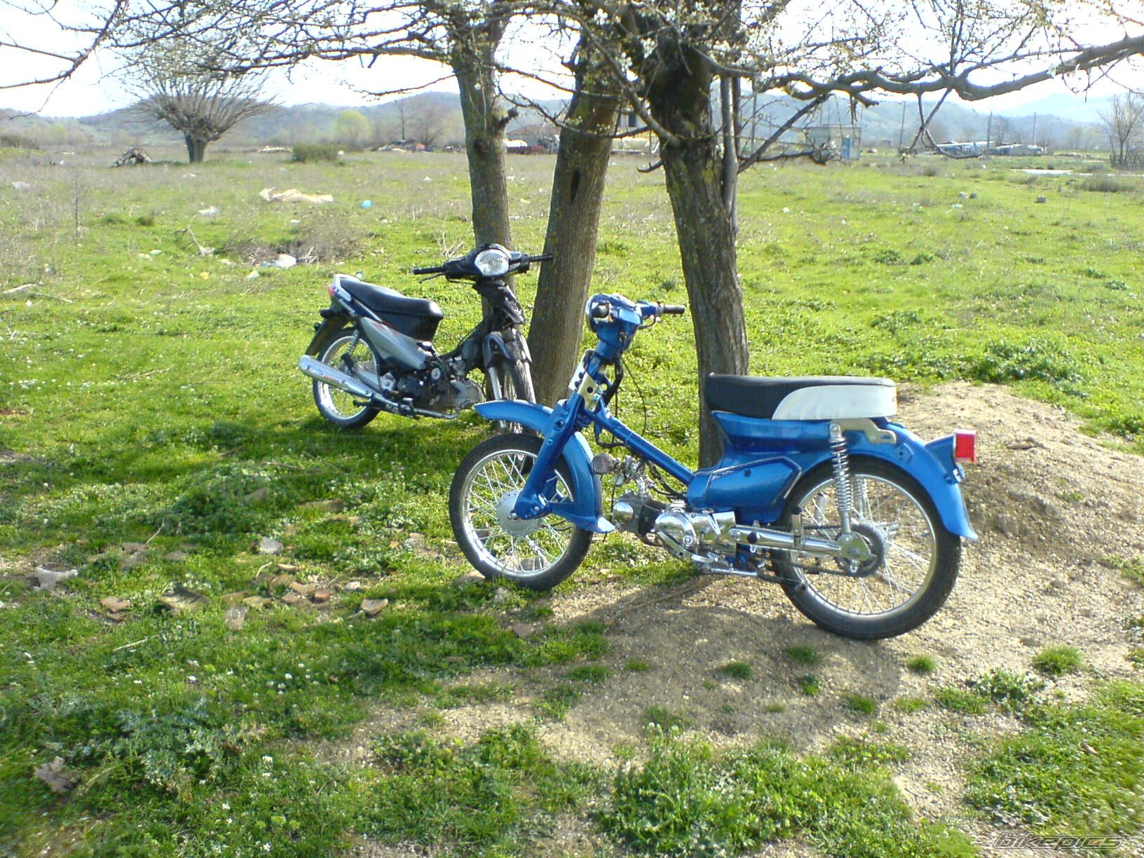2007 HONDA C 50 | Picture 824694 motorcycle photo