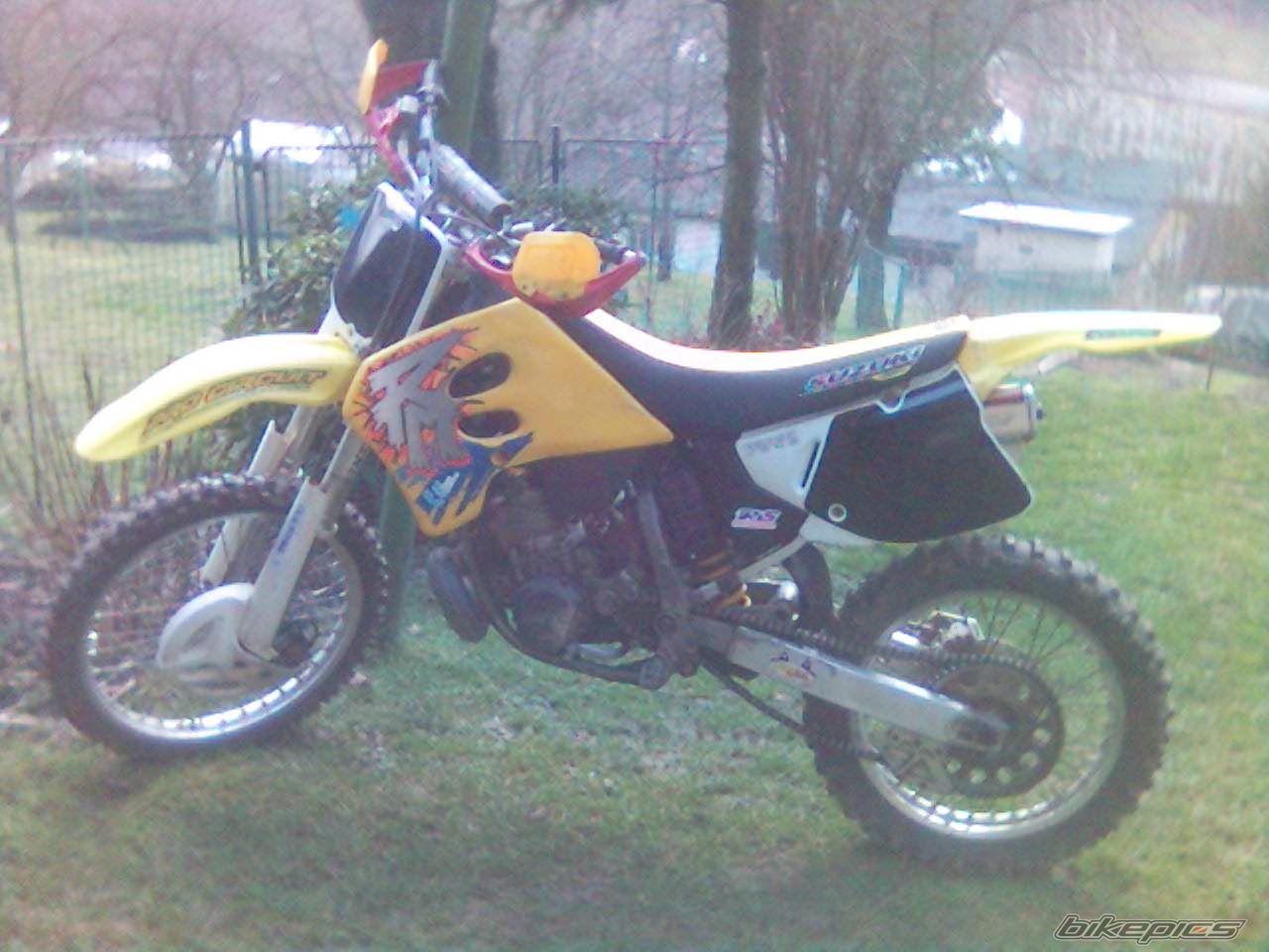 1993 SUZUKI RM 250 | Picture 824748 motorcycle photo