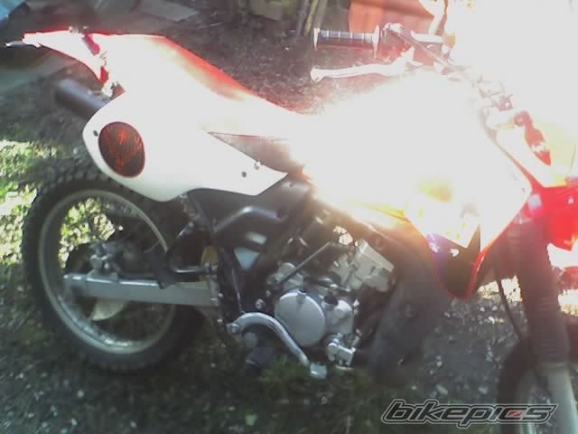 1999 KAWASAKI KMX 125 | Picture 826825 motorcycle photo