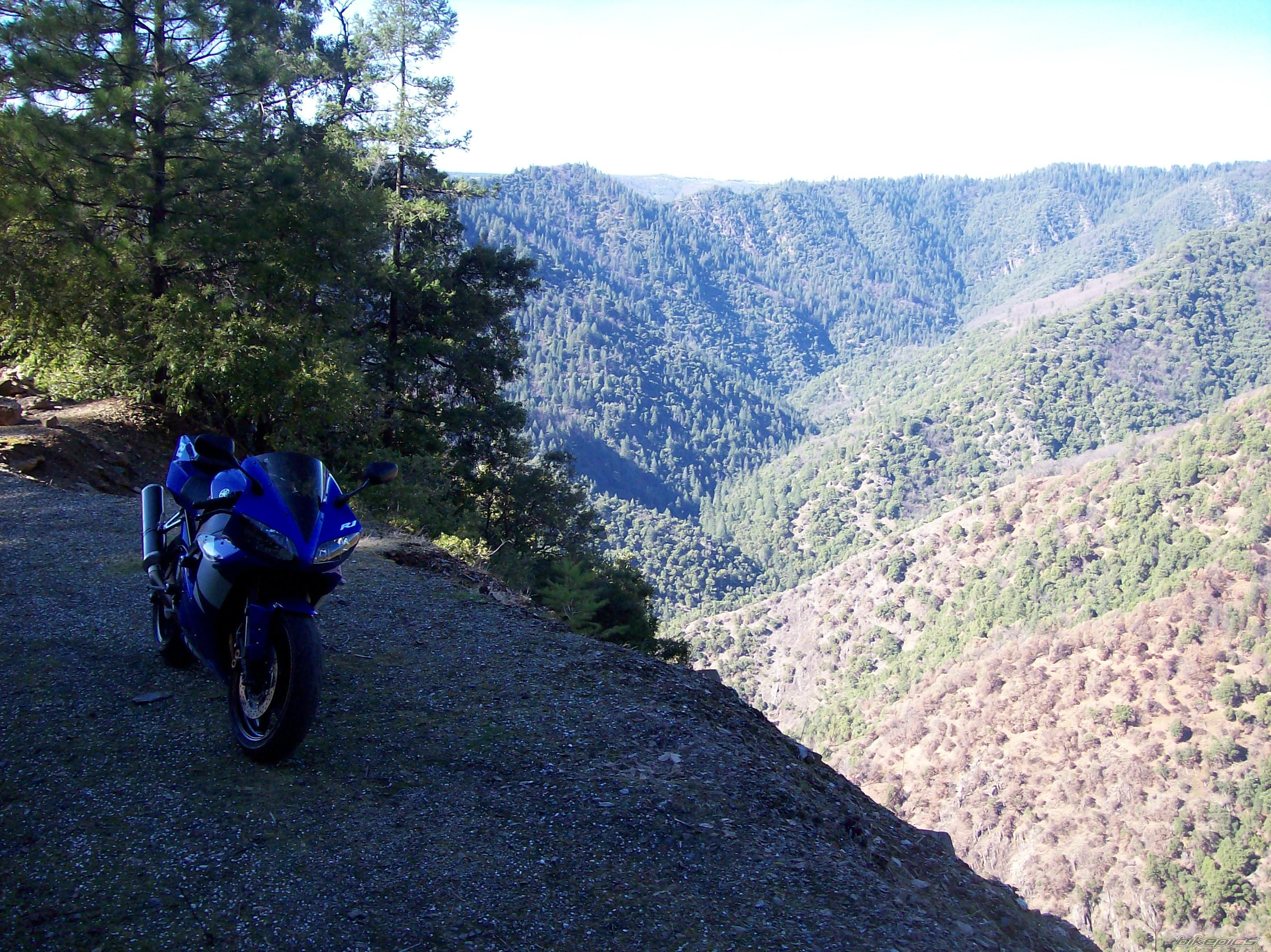 2002 YAMAHA YZF R1 | Picture 827051 motorcycle photo