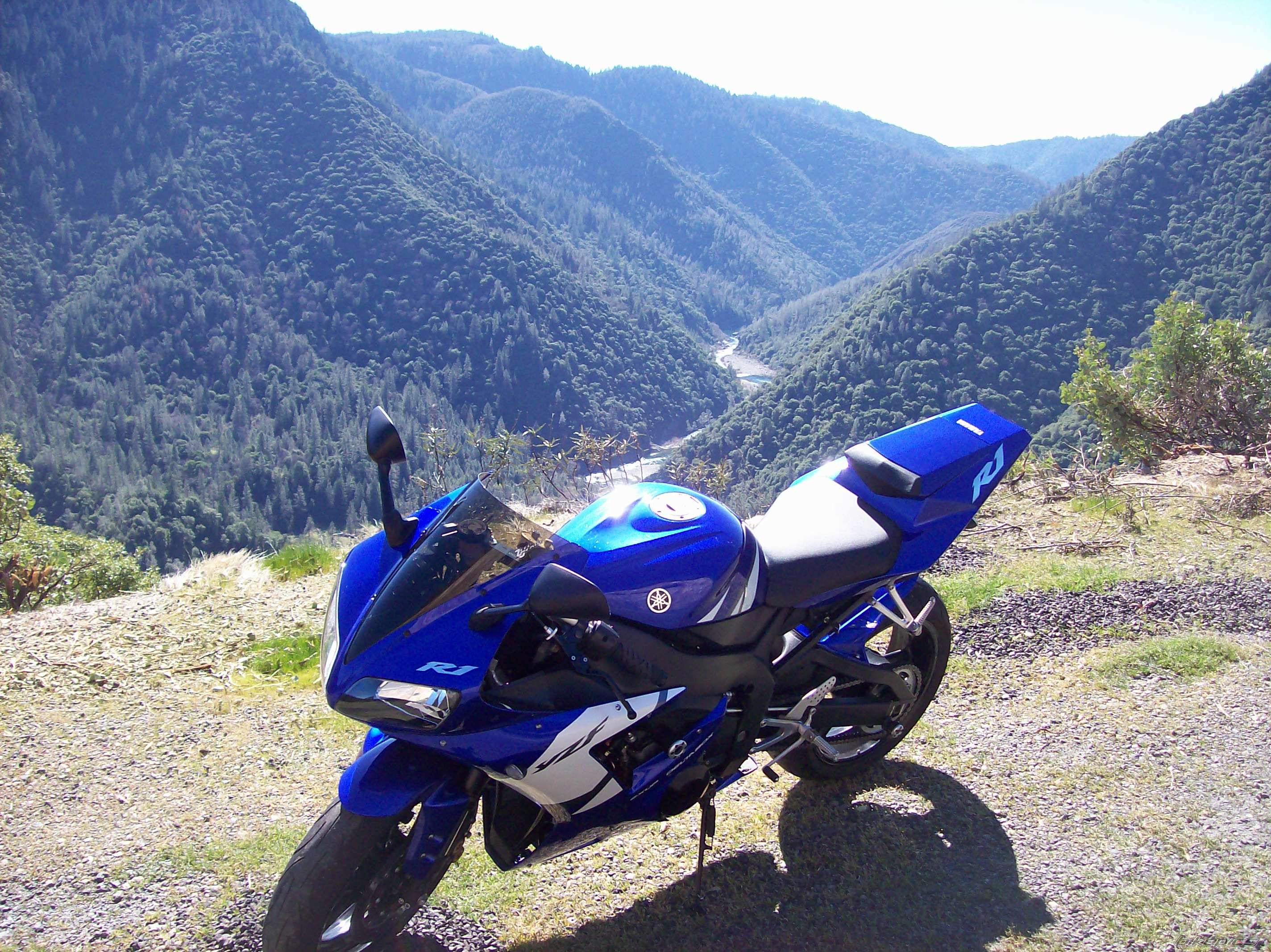 2002 YAMAHA YZF R1 | Picture 827060 motorcycle photo