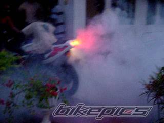 1999 HONDA CBR 250 | Picture 82746 motorcycle photo
