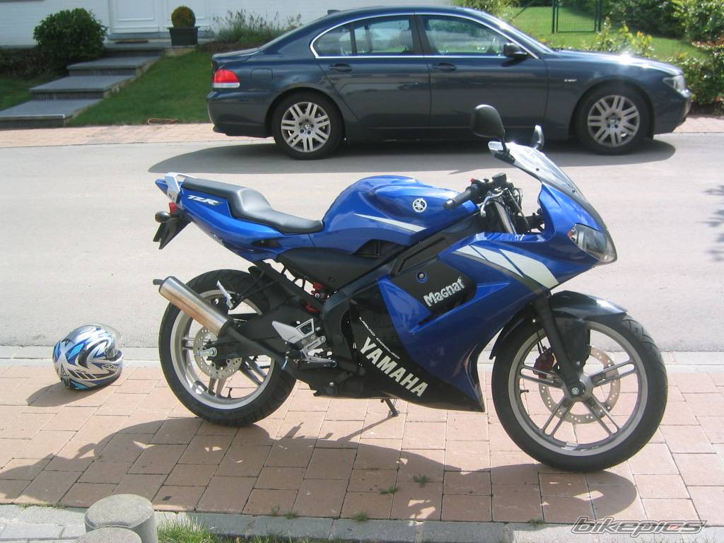 2003 YAMAHA TZR 50 | Picture 82757 motorcycle photo