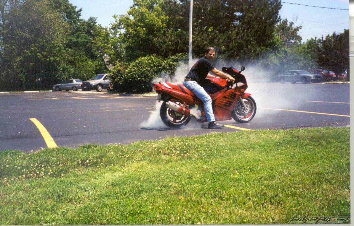 1995 SUZUKI RF 900 | Picture 82788 motorcycle photo