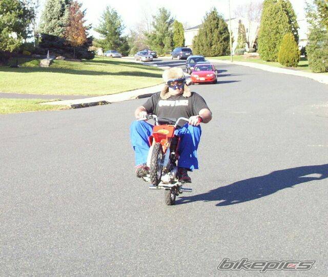 2003 HONDA XR 50 | Picture 82804 motorcycle photo