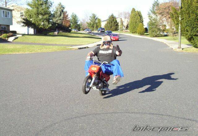 2003 HONDA XR 50 | Picture 82805 motorcycle photo