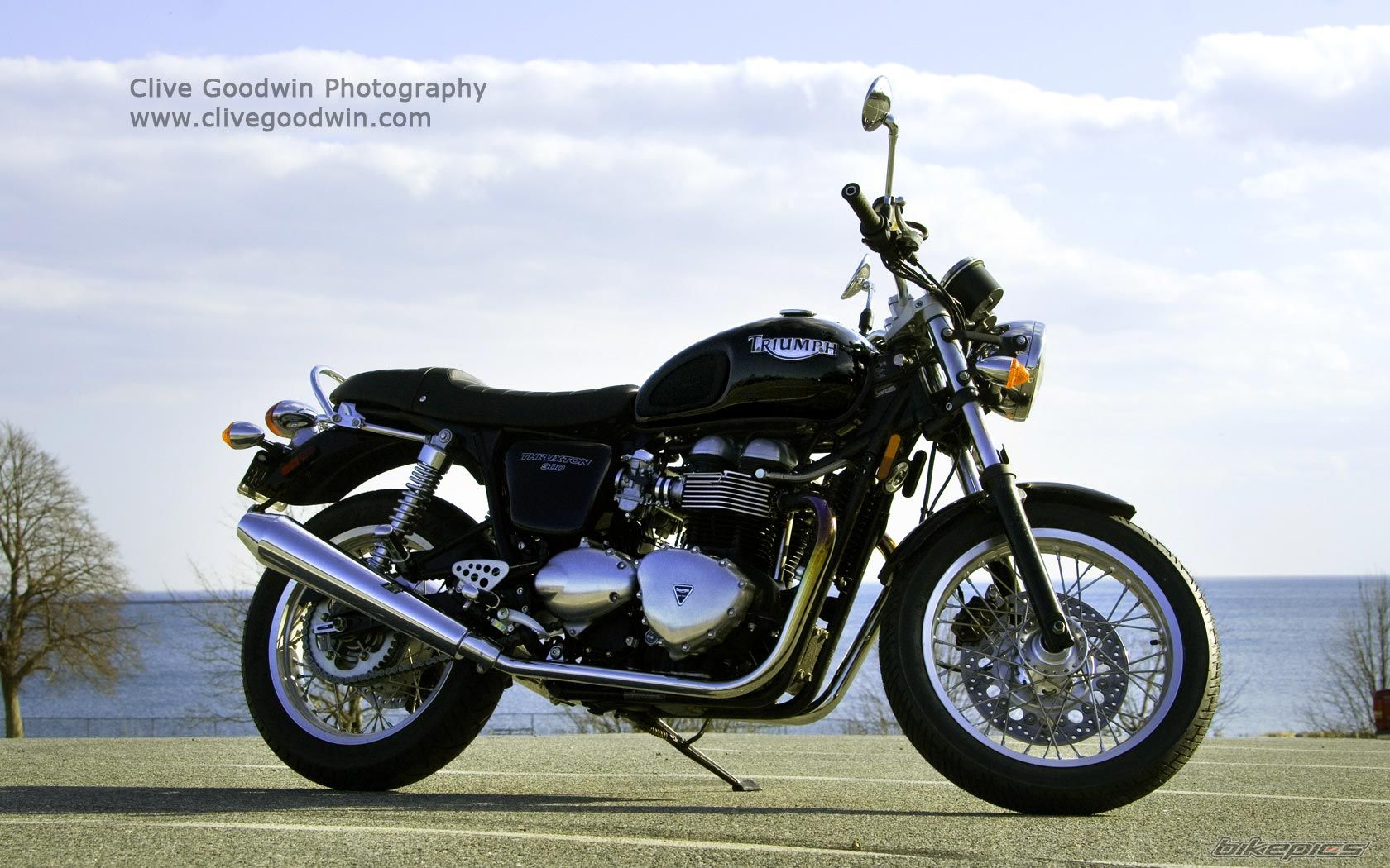 2007 TRIUMPH THRUXTON 900 | Picture 828330 motorcycle photo