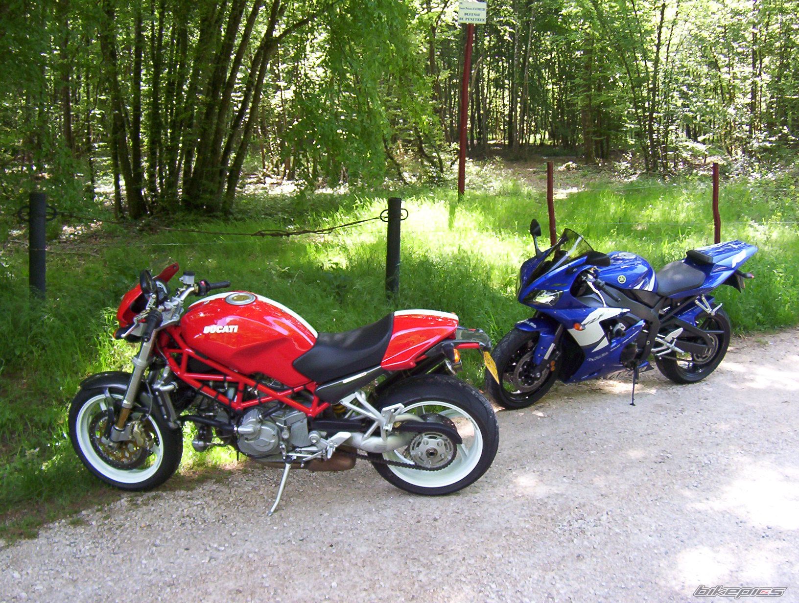 2006 DUCATI MONSTER S4R | Picture 828380 motorcycle photo