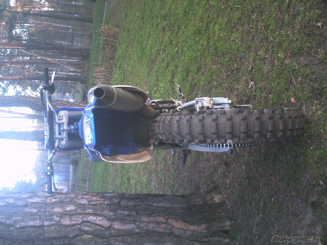 2003 YAMAHA YZ 450F | Picture 828532 motorcycle photo
