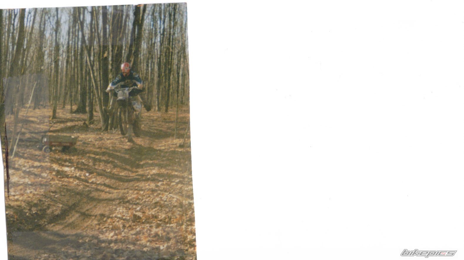 2003 YAMAHA TTR 125L | Picture 828927 motorcycle photo