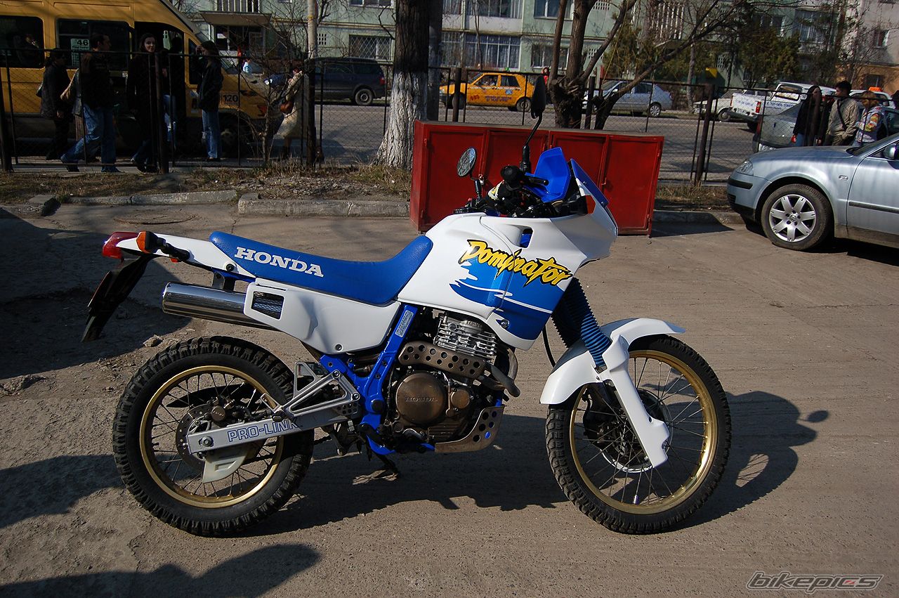 1991 HONDA NX 650 DOMINATOR | Picture 829459 motorcycle photo