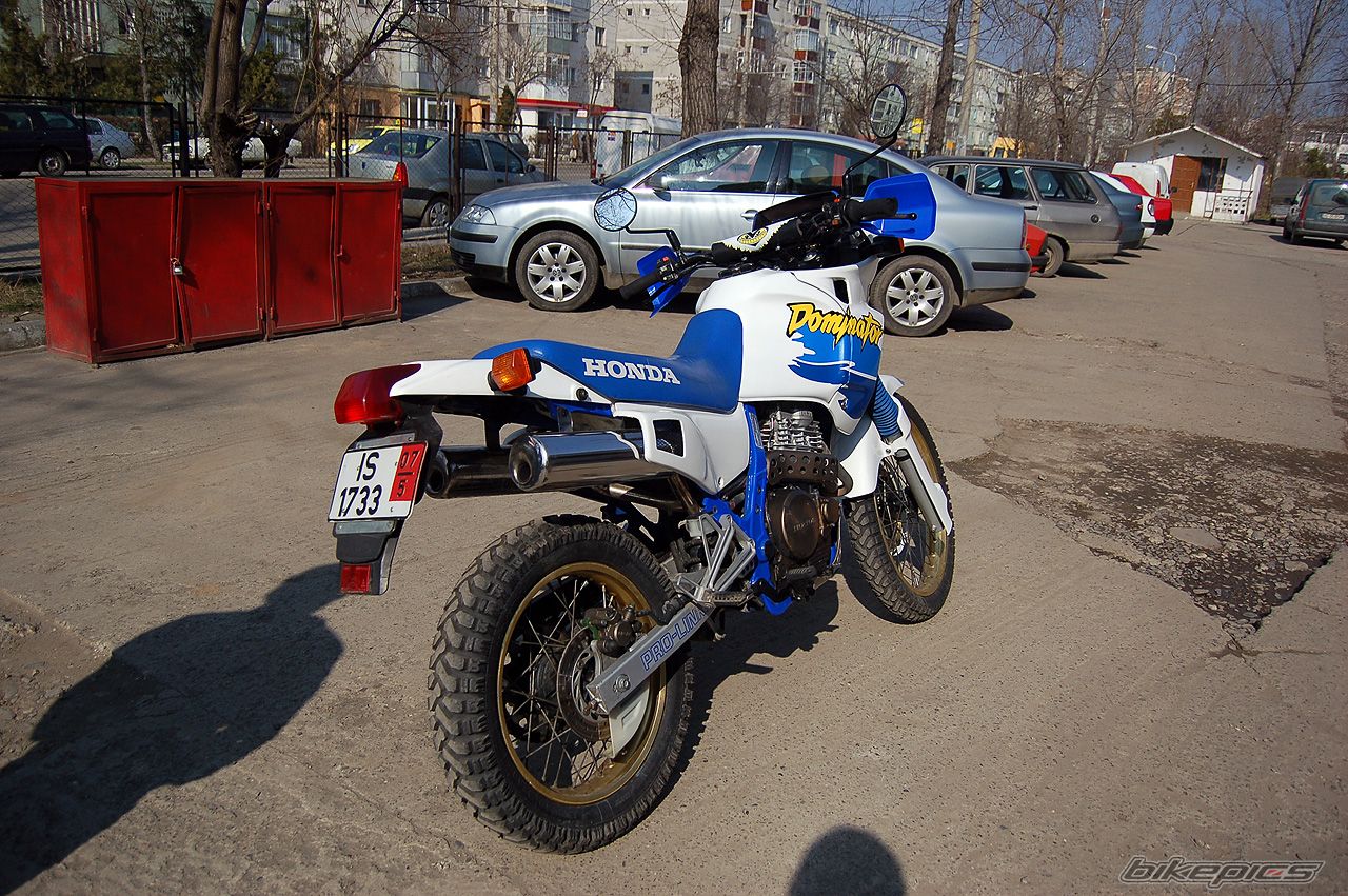 1991 HONDA NX 650 DOMINATOR | Picture 829462 motorcycle photo