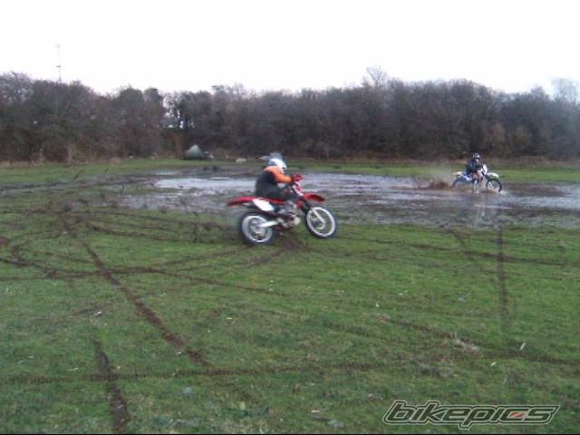 2001 HONDA XR 250 | Picture 829639 motorcycle photo