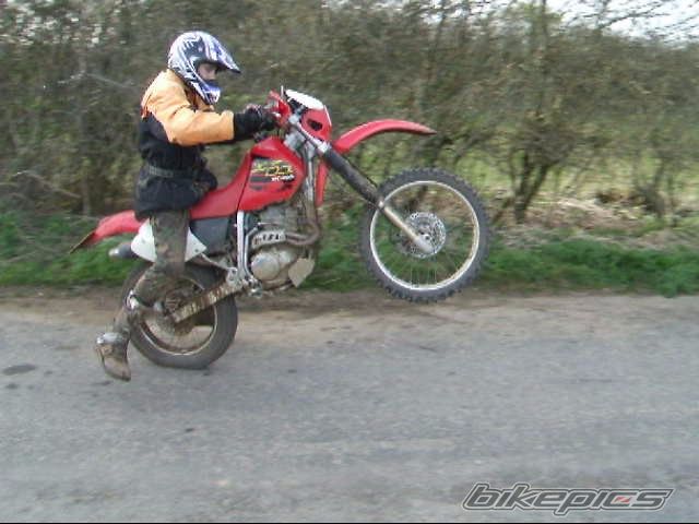 2001 HONDA XR 250 | Picture 829641 motorcycle photo