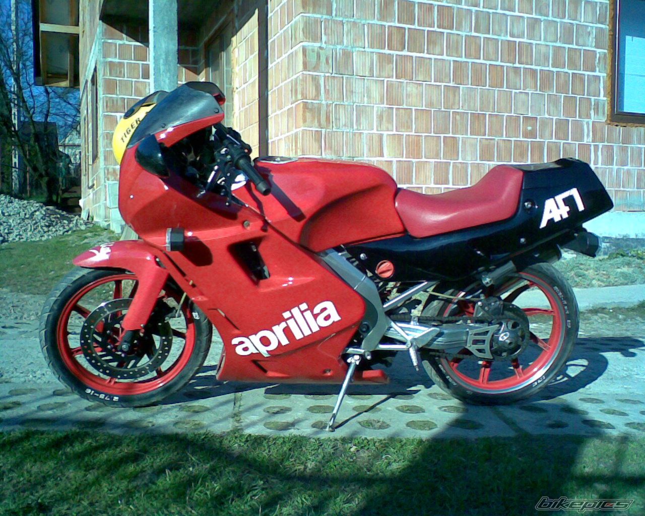 1989 APRILIA AF1 FUTURA 50 | Picture 830113 motorcycle photo