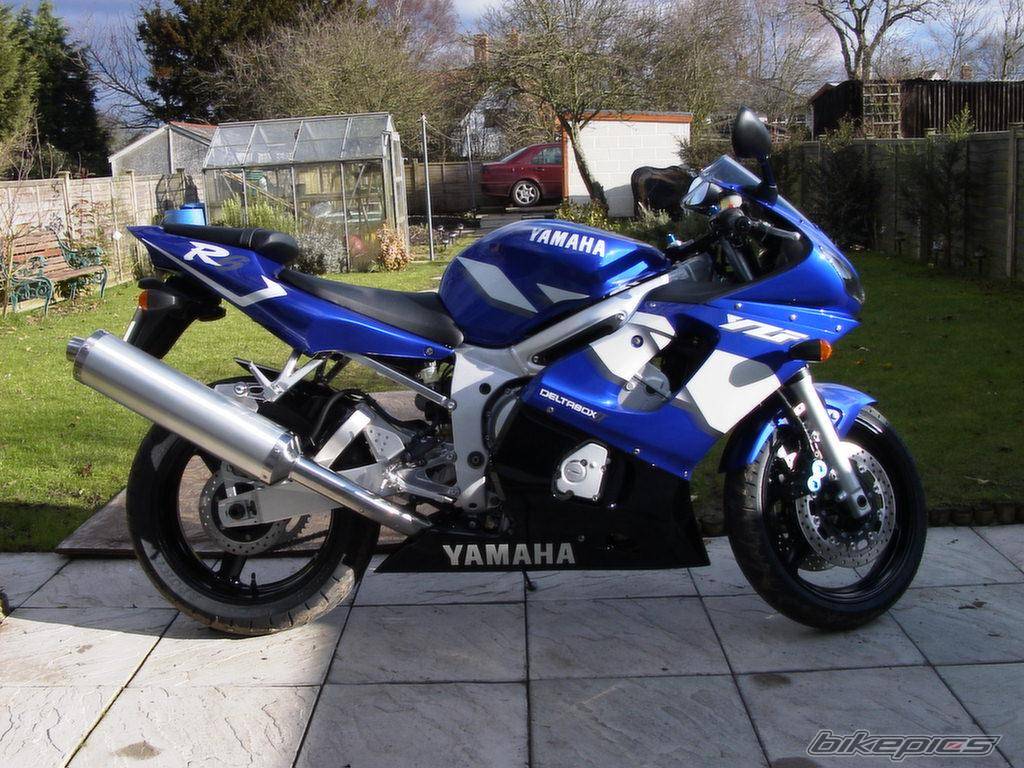 2001 YAMAHA YZF R6 | Picture 83052 motorcycle photo