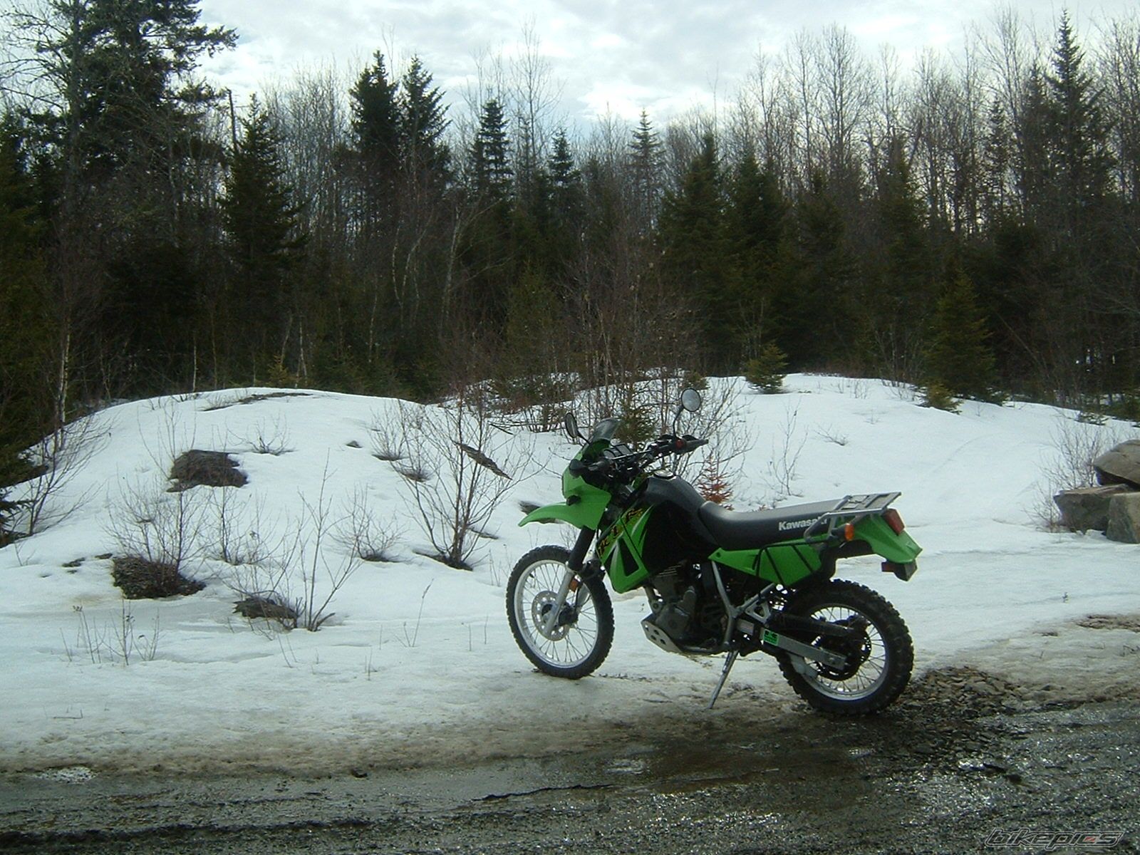 2006 KAWASAKI KLR 650 | Picture 830539 motorcycle photo